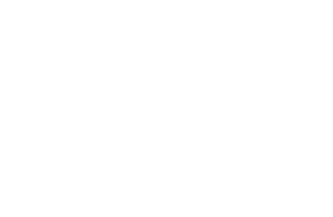 logo-apsa
